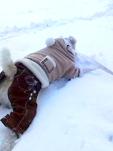 080129_02.jpg