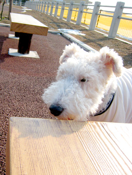 080330_07.jpg