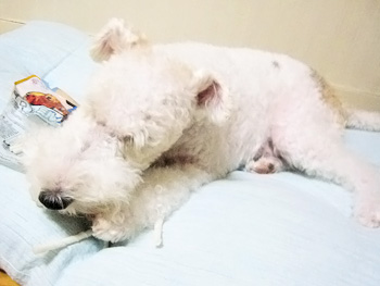 080824_05.jpg