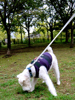 080924_02.jpg