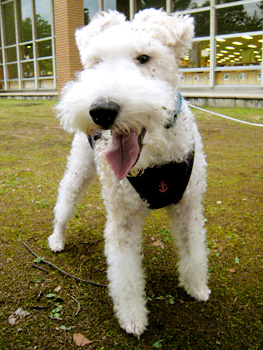 080924_03.jpg