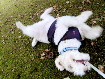 080924_04.jpg