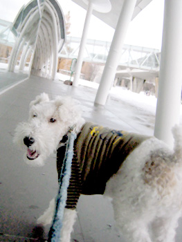 081123_02.jpg