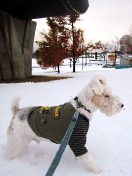 081123_06.jpg