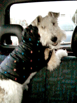 081228_01.jpg
