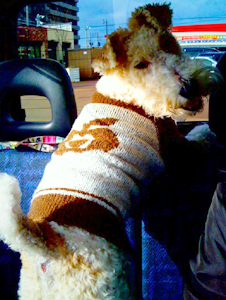 090316_03.jpg