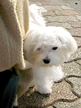 090405_04.jpg