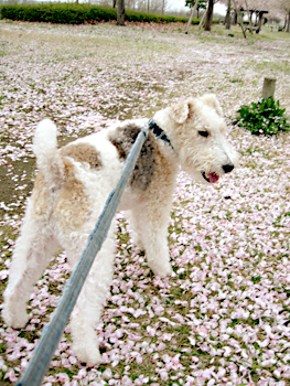 090419_09.jpg