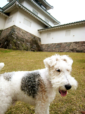cha01.jpg