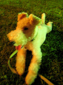 070816_09.JPG