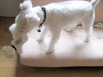 070923_10.jpg