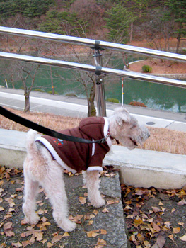 071230_01.jpg
