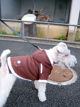 071230_04.jpg