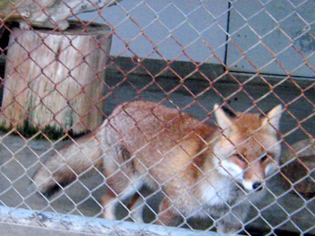 071230_05.jpg
