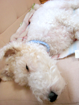 080416_09.jpg