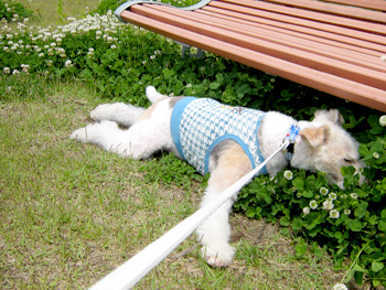 080610_03.jpg