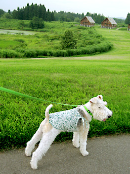 090801_01.jpg