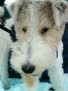 200605051207001.jpg