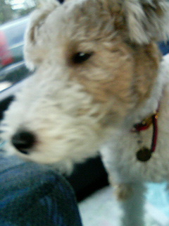 200605051212000.jpg