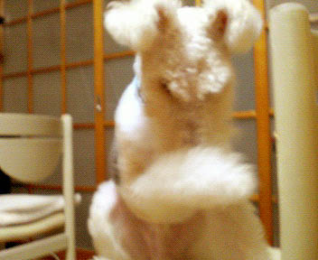 200610140252001.jpg
