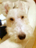 200610140258001.jpg