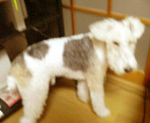 200610192000000.jpg
