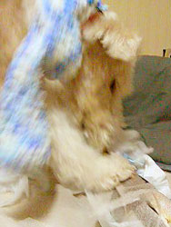 20070103232631.jpg