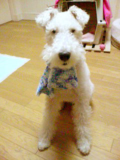 20070103233108.jpg