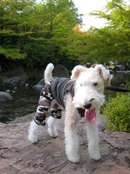 20071022.jpg