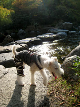 20071022_02.jpg