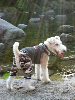 20071022_03.jpg