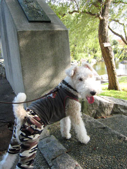 20071022_04.jpg