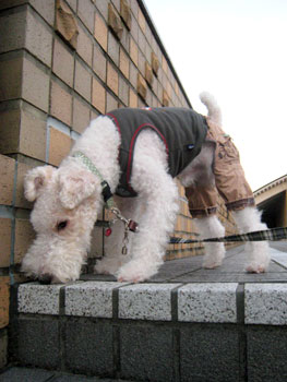 20071111_01.jpg