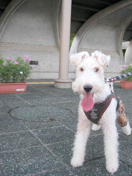 20071111_04.jpg