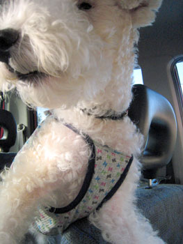 20071112_01.jpg