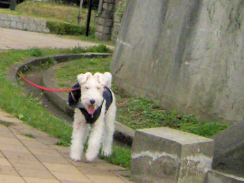 20071117_05.jpg