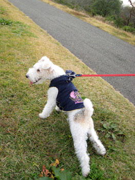 20071117_06.jpg