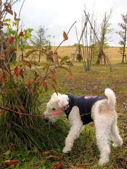 20071117_09.jpg