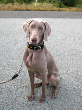 20071117_11.jpg