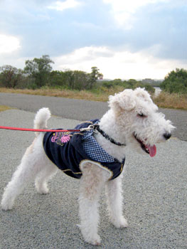 20071117_13.jpg