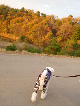 20071118_01.jpg