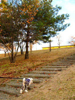 20071118_05.jpg