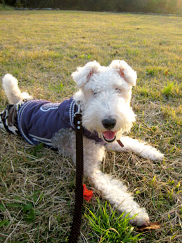 20071118_07.jpg