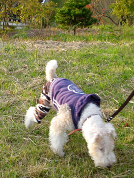 20071118_11.jpg