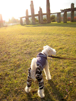 20071118_12.jpg