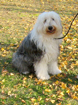 20071118_13.jpg