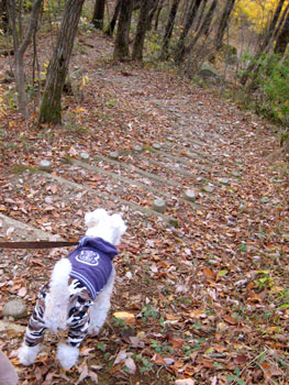 20071118_15.jpg