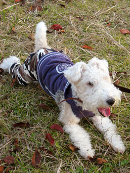 20071118_16.jpg