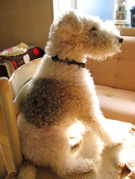 20071204_17.jpg