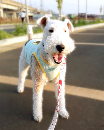 20110609_01.jpg
